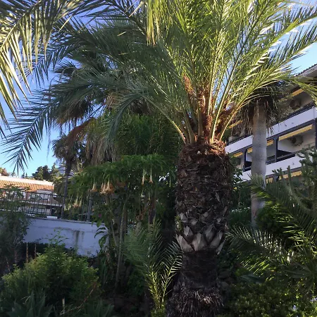 Carolina Park Apartment