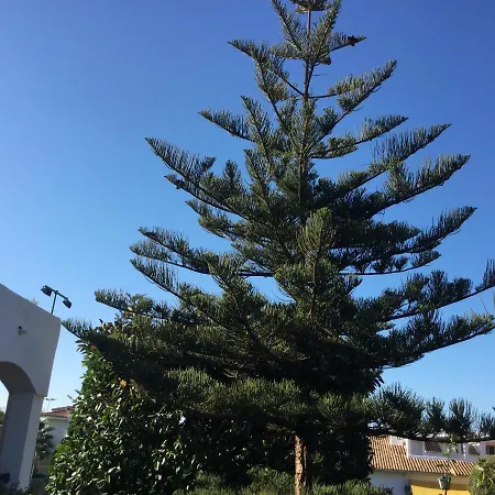 Carolina Park Marbella